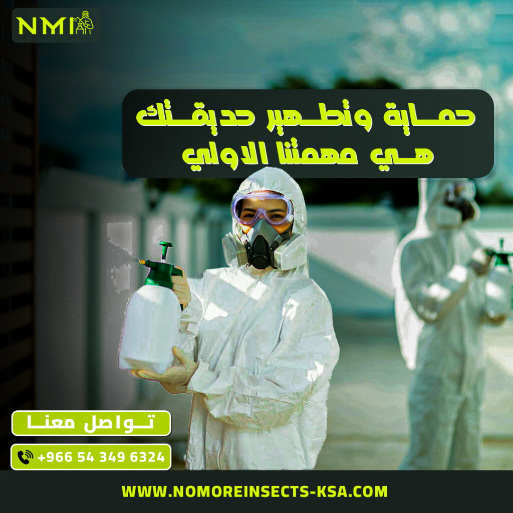 شركة مكافحة حشرات في الدمام