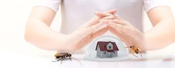 مكافحة الحشرات في الخبر