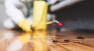 مكافحة الحشرات في الخبر