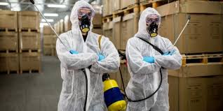 مكافحة الحشرات بالقطيف 966543496324