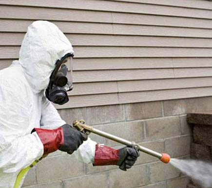 مكافحة الحشرات 2025